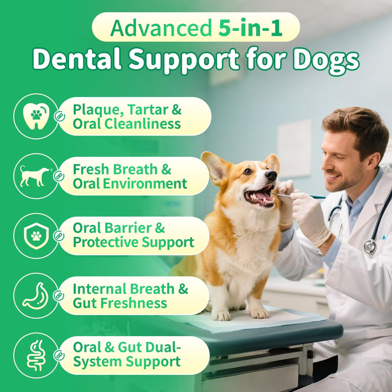 Dog Dental Powder, Dog Teeth Cleaning Powder with 6B CFU Probiotics, Enzymes & Antioxidants, Fresh Breath Support, Plaque & Tartar Off, No Brushing Oral Care - 75 Servings, Mint Chicken Flavor