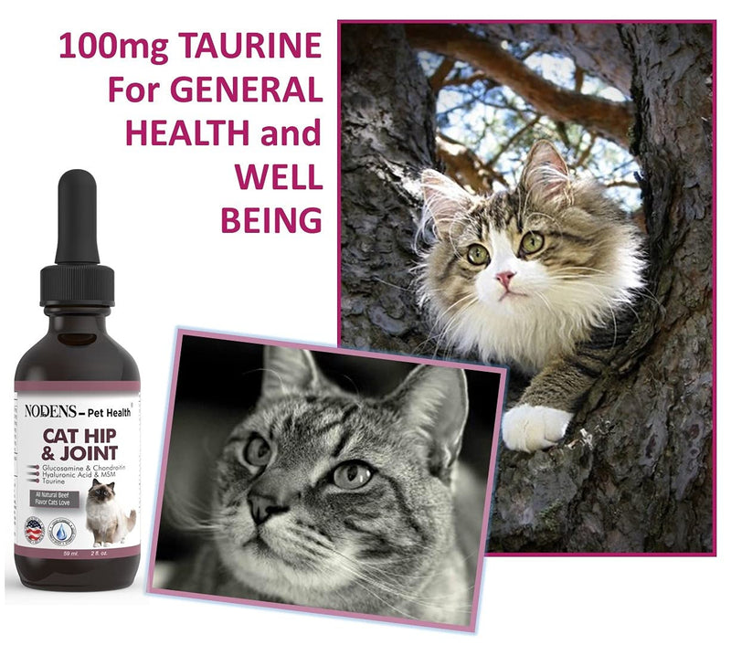 NODENS CAT Hip and Joint Glucosamine for Cats with Chondroitin and Opti-MSM® Hyaluronic Acid for Improved Joint Flexibility and Pain Relief from Inflammation and Cat Arthritis 2 floz - PawsPlanet Australia