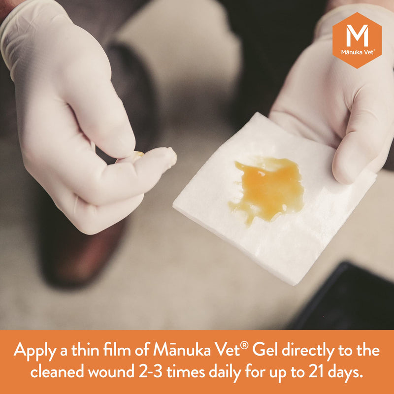 Manuka Vet Skin & Wound Gel, 500+ MGO Medical Grade Manuka Honey, Rapid Healing & Skin Repair Treatment for Dogs, Horses and Cats, 0.71oz (20g) Tube Small Tube 0.71 oz - PawsPlanet Australia