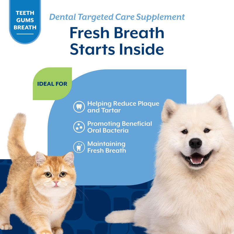NaturVet Dental Targeted Care Supplement for Dogs and Cats, Helps Reduce Plaque & Tartar with PRIOME Postbiotics, Scandinavian Kelp & Fresh Breath Blend, 60 Hickory Bacon Soft Chews