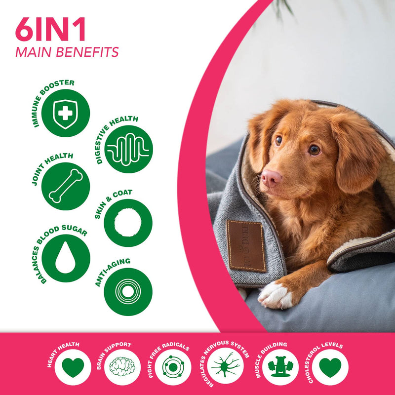 6 in 1 Superfood Dog Supplement with Organic Moringa | Treats for Immune System and Overall Health | Pets All Natural Multivitamins - 90 Chews - PawsPlanet Australia