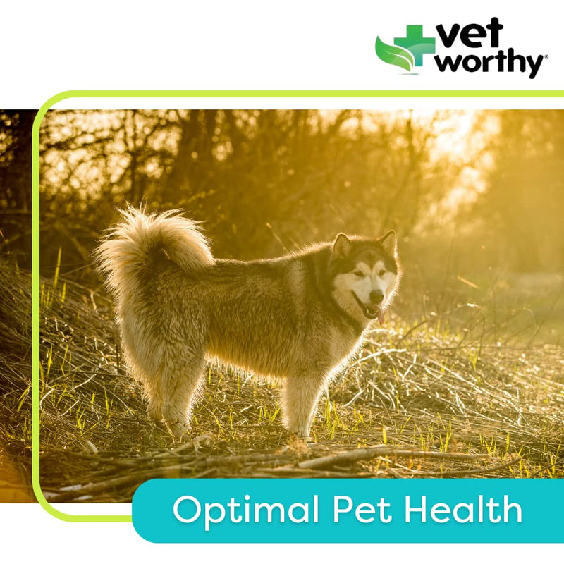 Vet Worthy Adult Multi Vitamins - Multivitamin for Dogs to Support Optimum Health and Overall Wellness - Dog Supplement with Iron, Magnesium, Zinc, Vitamin A, B Vitamins - Liver Flavor, 60 Tablets