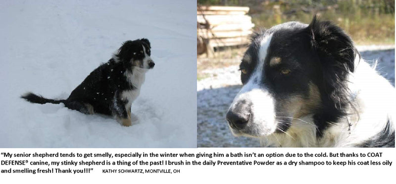 Coat Defense Dog Daily Preventative Powder |  Treats and Prevents Hot Spots, Itchy Skin,  Bacterial and  Fungal  Skin Conditions,  | Excellent Waterless Dry Shampoo  |  6 Ounce Powder | Made In USA - PawsPlanet Australia