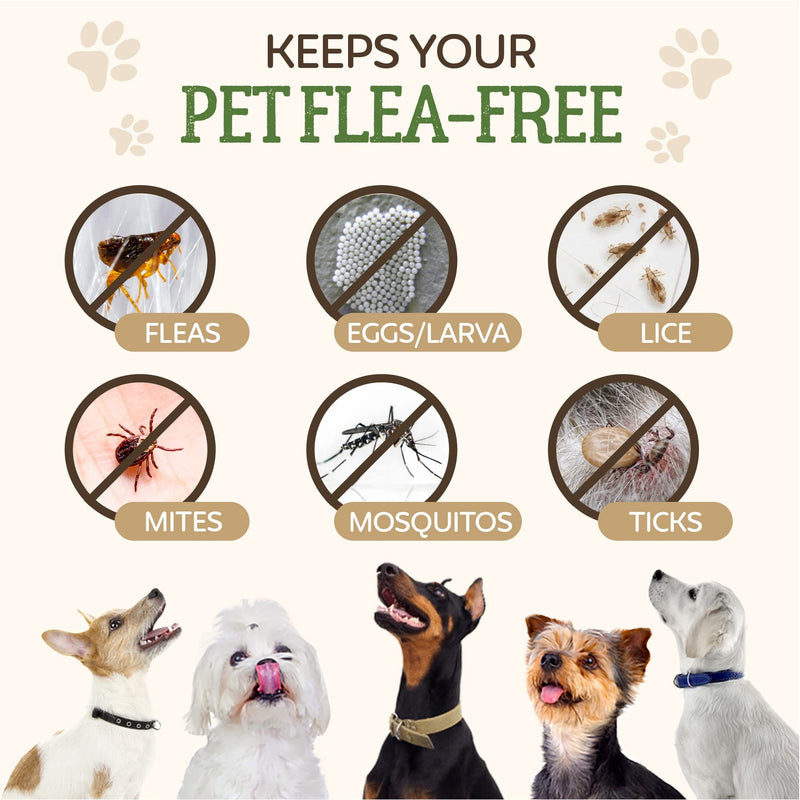 Flea Treatment for Dogs | Works on Flea & Tick | All Natural Safe Formula & Easy To Apply | Spot On Application - PawsPlanet Australia