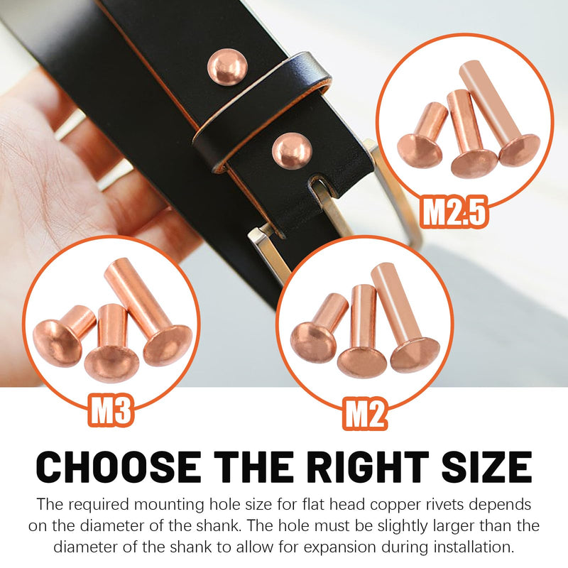 Tanstic 270Pcs Round Head Copper Solid Rivets, M2x4/6/8, M2.5x5/8/10, M3x4/6/10 Solid Copper Rivets Fasteners for Electrical Applications Copper Finish Copper Tone