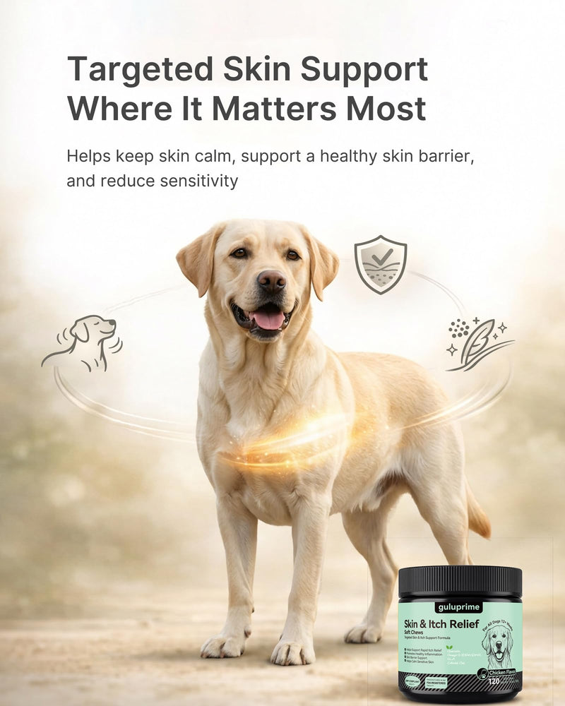 Dog Itch Relief Chews for Dogs – Itchy Paws & Paw Licking Support, Anti Itch Soft Chews for Itchy Skin, Daily Skin & Coat Supplement, 120 Chews Chicken