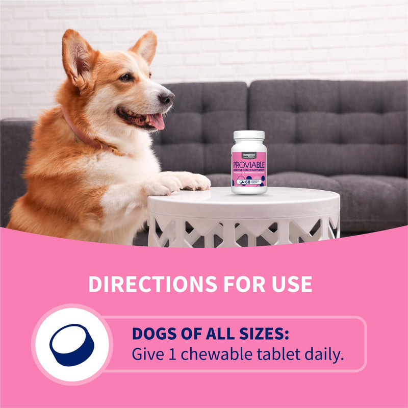 Nutramax Proviable Probiotics for Dogs, Daily Digestive Health Supplement with Multiple Strains of Bacteria, Dog Probiotics Plus Prebiotics, 60 Chewable Tablets 60 Count (Pack of 1)