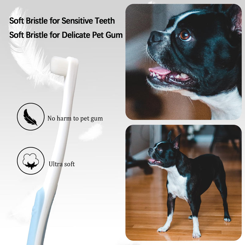 JGocot Cat Toothbrush and Cat Acne Brushes