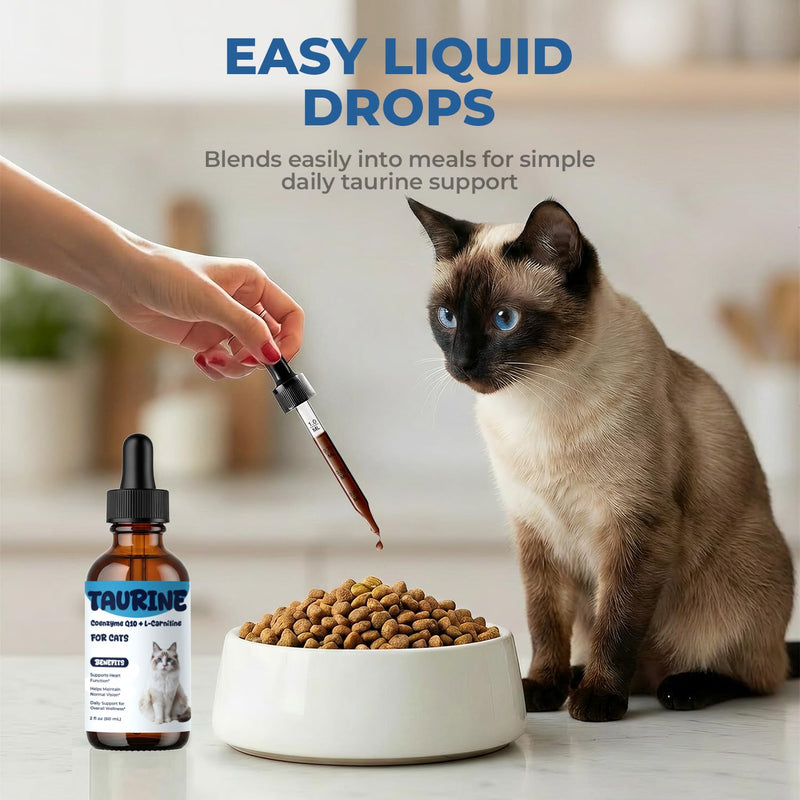 Taurine Supplement for Cats Liquid Drops, Cat Taurine with Coenzyme Q10 & L-Carnitine, Supports Heart Function, Vision & Daily Energy, Helps Maintain Consistent Taurine Intake (60 ml (Pack of 1)) 60 ml (Pack of 1)