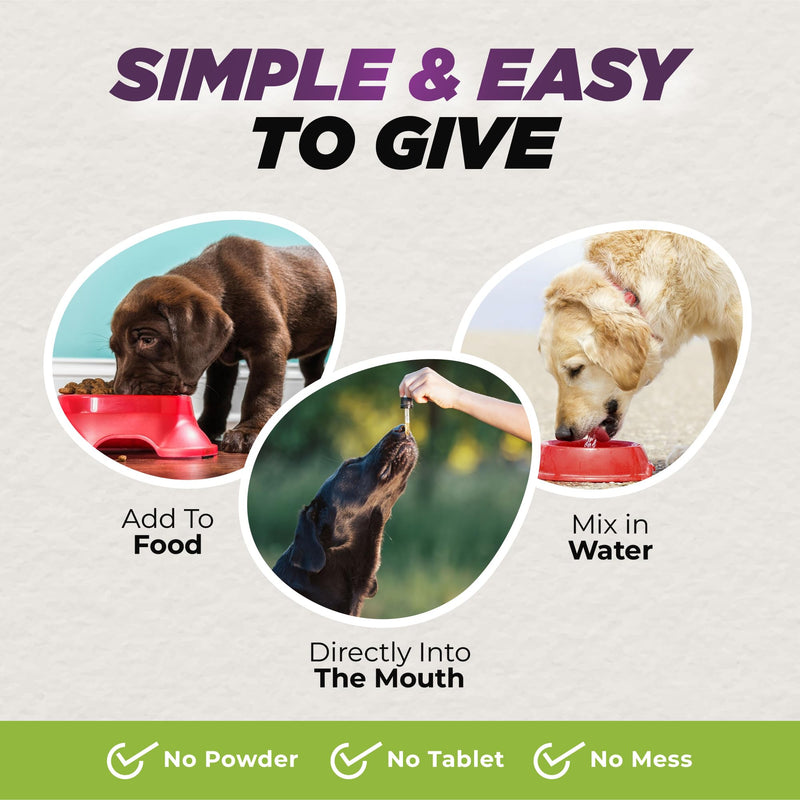Digestive Aid for Dogs | Soothing & Anti-Inflammatory Blend with Dandelion, Slippery Elm & Marshmallow Root for Optimal Gastrointestinal Health - PawsPlanet Australia