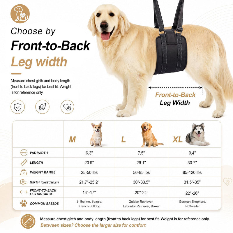 Adjustable Dog Lift Harness Portable Breathable Soft Dog Sling for Back Legs Support Rehab Harness for Summer Weak Rear Legs Senior Injured Disabled After Acl Surgery Pooch(Medium) M