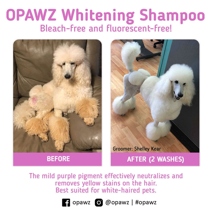 OPAWZ Whitening Purple Shampoo for Dog and Cat, Safely Remove Yellow Stains, with No Bleach, Peroxide and Sulfate, Professional Groomers Recommended Product, 16.9 oz