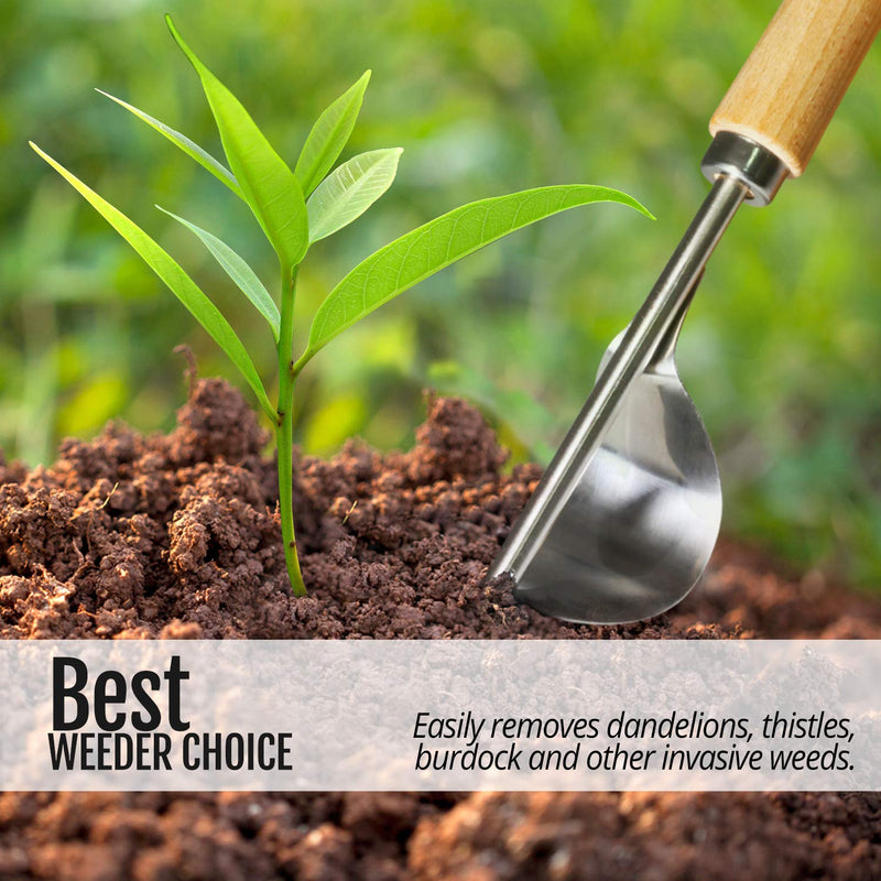Betus Manual Hand Weeder - Bend-Proof Leverage Base for Super Easy Weed Removal & Deeper Digging - Sturdy Chrome Plated Steel - Compact Garden Weed Puller Tool for Yard Lawn and Farm - NewNest Australia