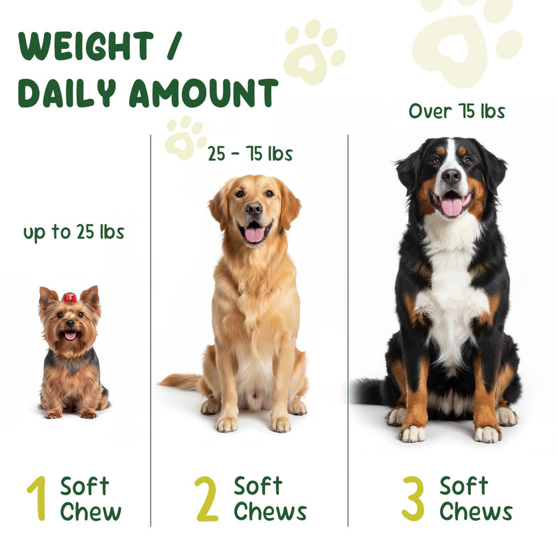 22-in-1 Grain-Free Dog Multivitamin Supplement – 90 Soft Chews for Hip & Joint Health, Immune Support, Healthy Coat & Overall Wellness – Vitamins A, B12, C, D, E, Minerals, and Antioxidants Pork