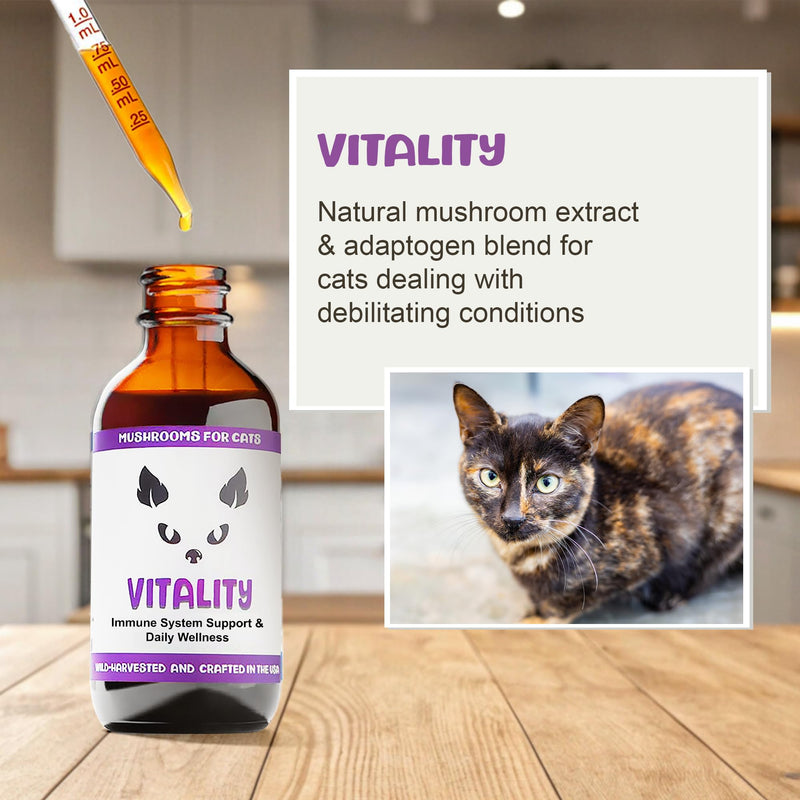 MycoCat Vitality - 20-in-1 Mushroom Extract & Adaptogen Tincture - Liver Support for Cats with Shiitake Mushrooms, Turkey Tail, Chaga, Maitake & Reishi for Felines with Debilitating Conditions
