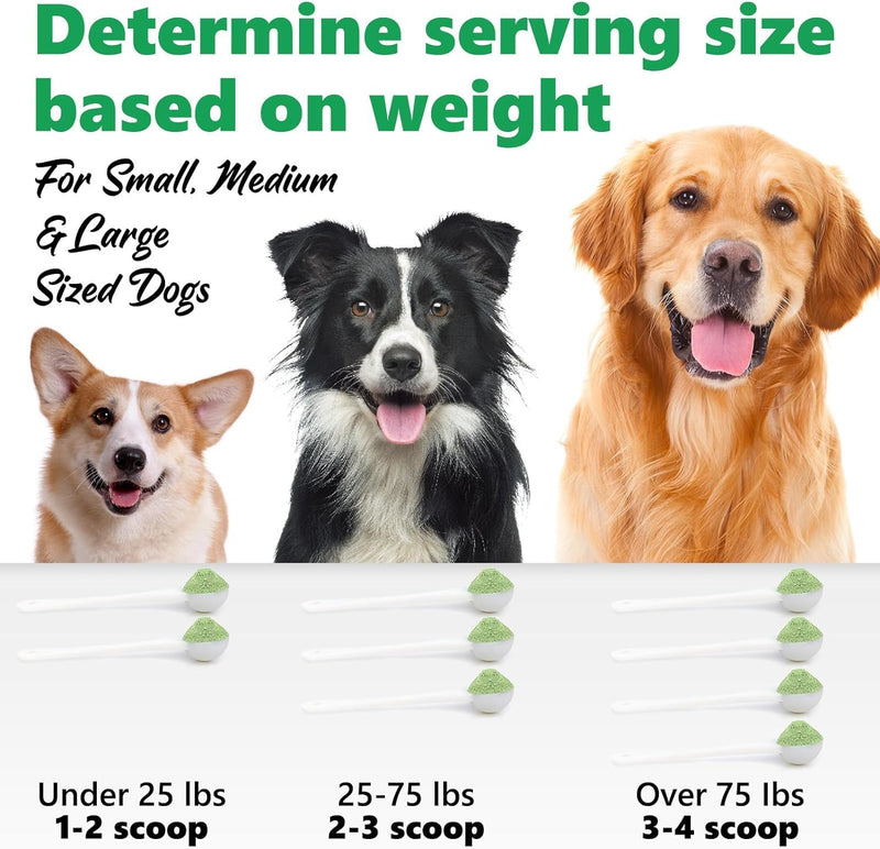 Dog Dental Care Powder Plaqueoff Powder for Pets, Teeth Cleaning Powder for Dogs & Cats Breath Freshener Powder for Bad Breath, Tartar Remover, Plaque Off, and for Rabbit - PawsPlanet Australia