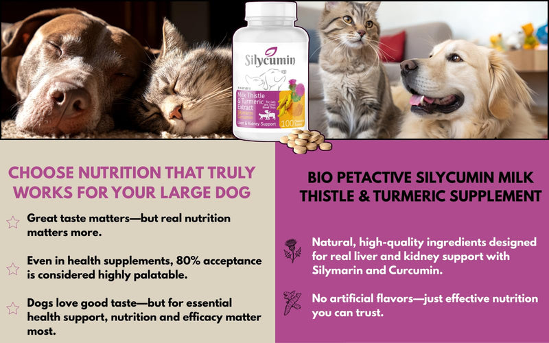 Bio PetActive Silycumin Milk Thistle & Turmeric Supplement for Cats & Small Breed Dogs - Advanced Liver & Kidney Support with Silymarin and Curcumin, Detox & Antioxidant Formula - 100 Chewable Tablets