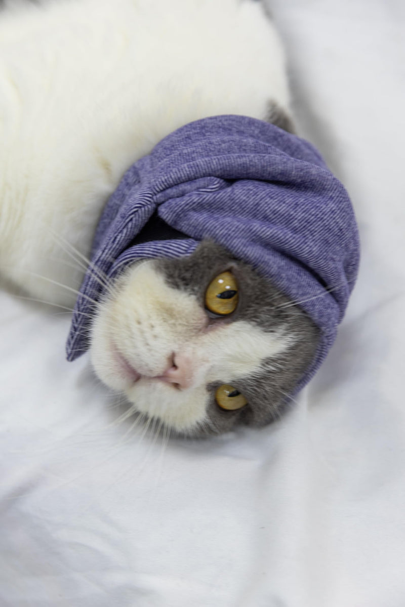 Cat Hematoma Ear Wrap,Noise Cancelling Calming Anxiety & Stress Relief - Ear Cover for cat Purple S Small