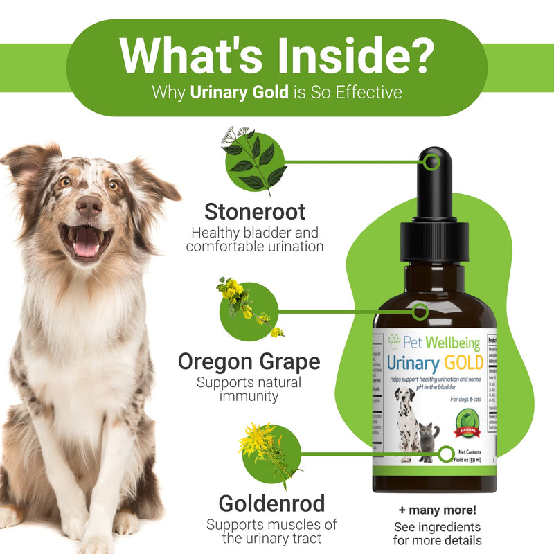 Pet Wellbeing - Urinary Gold for Dogs - Natural Support for Dog Urinary Tract Health 2oz - PawsPlanet Australia