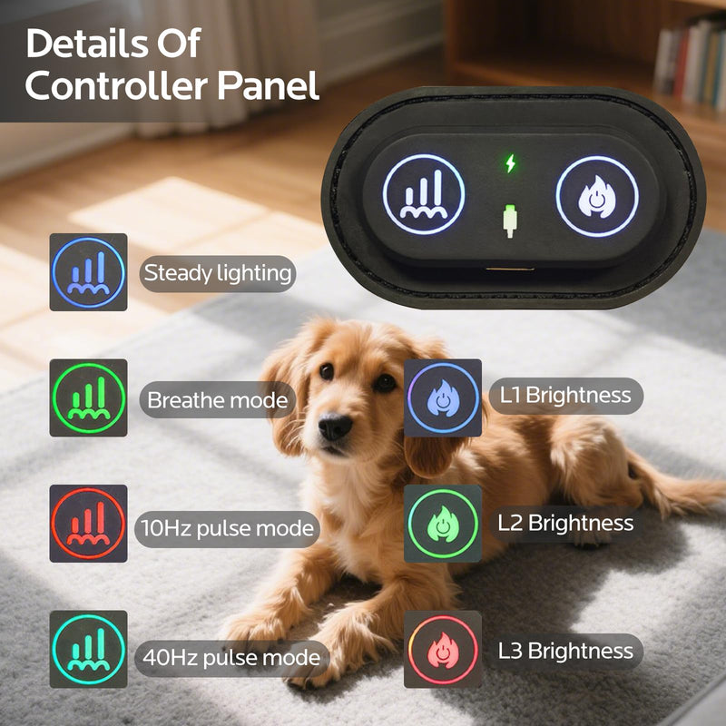 Red Light Therapy for Dogs,Wearable Infrared Light Therapy Belt for Pets Wounds Repair,Joint & Back Pain Relief,12.8 × 6.8 in 660/850 nm 80-LED Pad Black