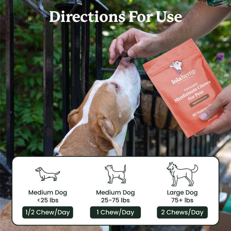 Lolahemp Mushroom Supplement for Dogs - Tasty Chews with Organic Mushroom Complex for Immune System & Cognitive Health - Turkey Tail, Reishi, Shiitake, Maitake & Lion's Mane - PawsPlanet Australia
