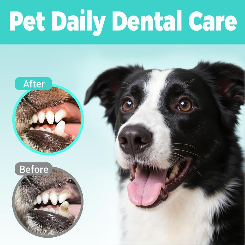 Pet Teeth Cleaning Finger Wipes，Disposable Wet Wipes 50ct，Pet Dental Finger Wipes for Dogs & Cats，Reduces Plaque and Freshens Breath, Removes Tartar