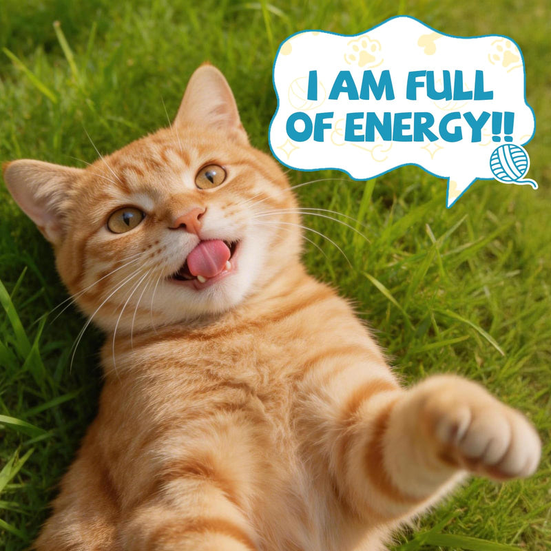 Taurine for Cats Drop - Taurine Supplement for Cats, Supports Feline Heart & Immune Function, Vision, Energy & Vitality, Coenzyme Q10, L-Carnitine, L-Arginine, Vitamin, Liquid Cat Taurine 60ML