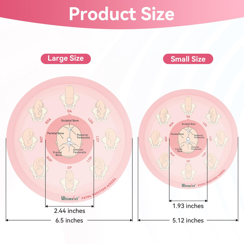 Midwife Fetal Position Tool - Small Size 5.12", Fetal Position Wheel for Midwives, Doula and Obstetricians Gifts, Childbirth Education Tool for Medical & Nursing Students