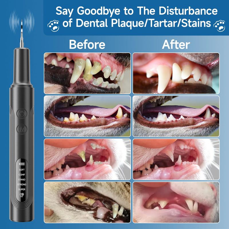 Jellytree Dog Plaque and Tartar Remover,Dogs Teeth Cleaning Kit with Led Light,5 Modes Dog Tooth Plaque Remover, Tooth Cleaner for Dogs and Cats USB Charge,Low Noise Tartar Remover for Teeth