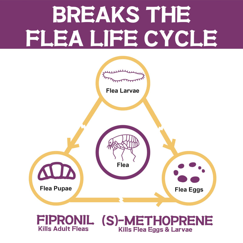 Flea and Tick Prevention for Cats, Flea and Tick Treatment for Cat Kitten, Flea & Tick Control, Over 1.5 Pounds, 6 Doses cat-6 Doses