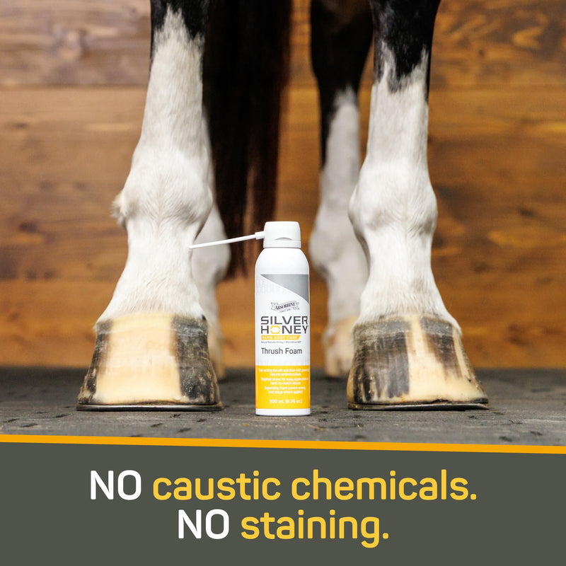 Silver Honey Rapid Hoof Care Thrush Foam, 200 mL / 6.76 oz, Manuka Honey + MicroSilver BG, Expanding Coverage for Equine Hoof Care