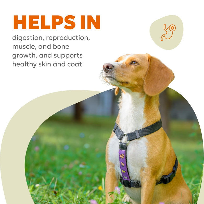 Canine Multi Soft Chews | Chewable Supplements for Dogs, Dog Supplement, Glucosamine, Chondroitin & Multivitamins | 60 Chews (180g, 6.35 oz.) - PawsPlanet Australia