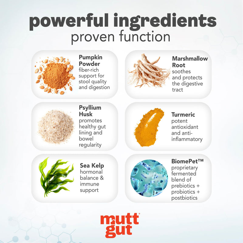 MuttGut® 3-in-1 Puppy & Dog Probiotics + Prebiotics + Postbiotics Chews - Promotes Digestive Health, Supports Immune System and Overall Health - Dog Diarrhea Relief & Immune Support - 60 Soft Chews