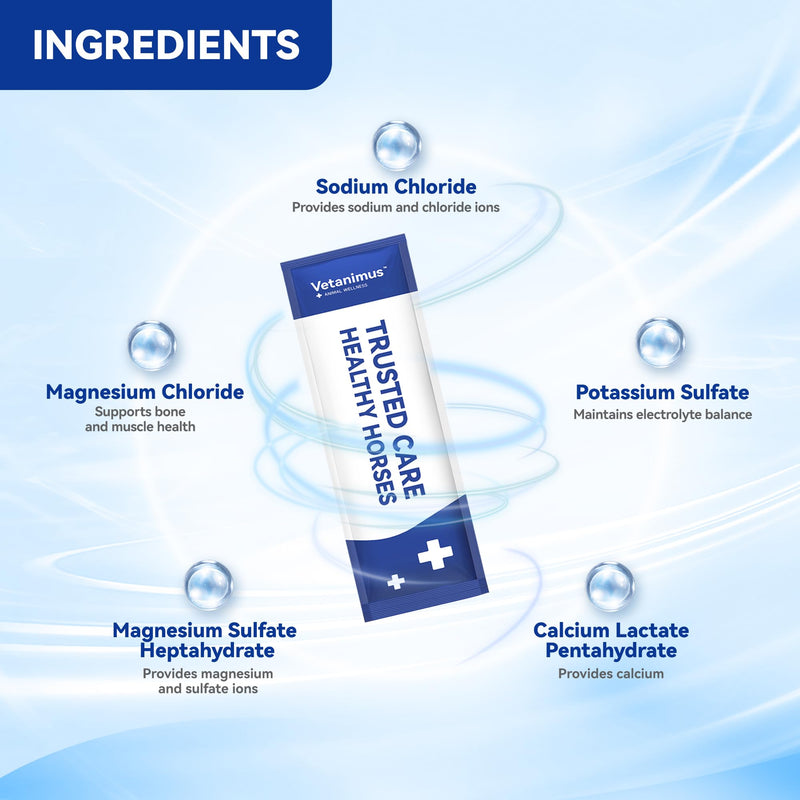 Horse Electrolytes Powder, Electrolyte for Horses with Sodium & Potassium, Equine Hydration Supplement 420g Box