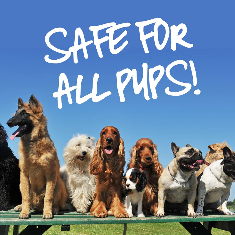 Pup Oils Sick Pup Essential Oil for Dogs - Soothes Upset Stomachs & Vomiting - Organic Calming Oils - Probiotics & Digestive Enzymes for Pet Gut Health - Dog Stomach Relief Probiotic Supplement - 1 oz - PawsPlanet Australia
