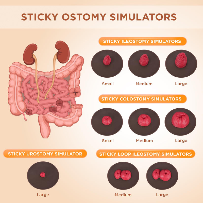 Sticky Ostomy Simulators, Stoma Training Model Set, Multi-Skin Tone Ostomy Care Practice Models for Medical Training and Patient Education - Dark