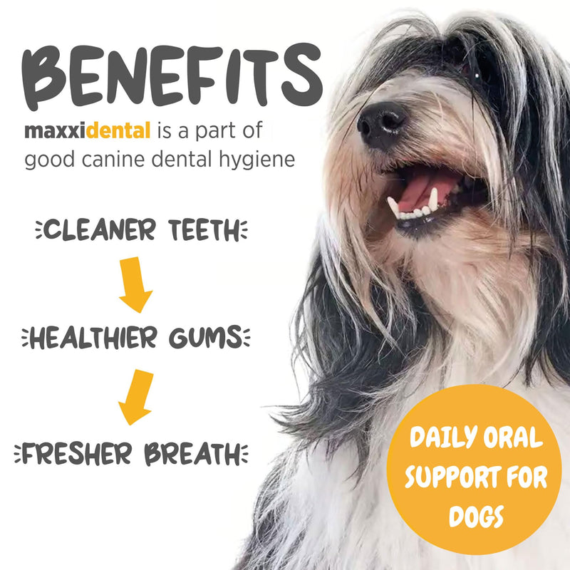 maxxipaws maxxidental Dog Dental Powder | Oral Care Supplement for Teeth, Gums, Plaque, Tartar and Fresh Breath | Kelp, Zeolite, Papain, Probiotics | Easy Sprinkle Formula | 5 oz