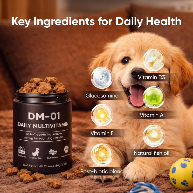 DM-01 Daily Multivitamin for Dogs - Advanced Hip & Joint Support, Boosts Immune System & Digestion, Promotes Skin, Coat & Organ System Health, Enhances Activity & Mood, 60 Chews (1) 1