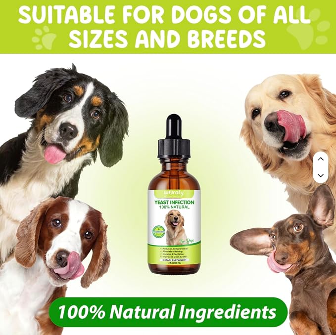 Yeast Infection Treatment for Dogs, 60ml Dog Ear Infection Treatment,Itchy Ear,Skin&Allergy Symptoms Relief-Reduces Inflammation&Relieves Irritation,Dog Supplement Drops with Multivitamins Probiotics