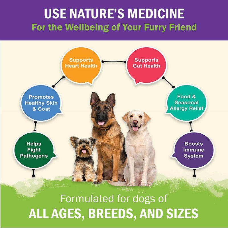 Dog Immune Support Premium Powder Topper, Turkey Tail, Spirulina & Beta-Glucan, Supports a Healthy Immune System & Digestion, Human-Grade, Made in USA 2.46 1 Pack