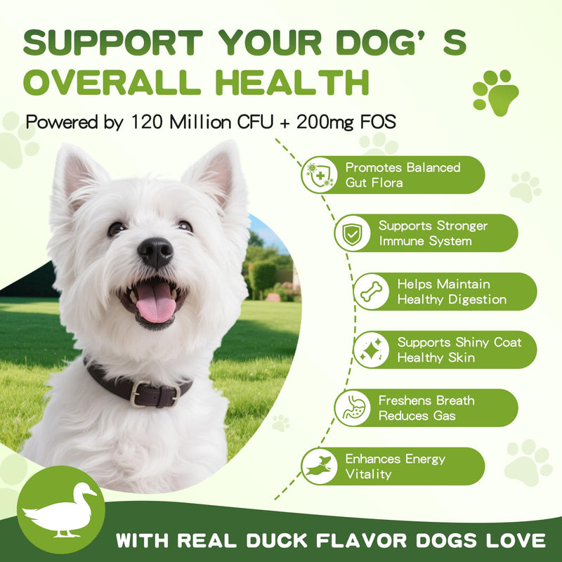 Probiotics for Dogs - 150 Soft Chew, Dog Probiotics for Digestive Health and Diarrhea, Allergies & Immune Support Dog Probiotic Supplement, Daily Probiotics for All Dogs, Natural Duck Flavor 150ct