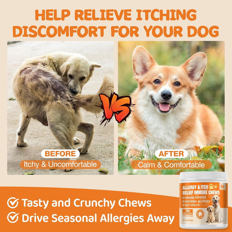 Dog Allergy Relief Chews - Advanced Dog Allergy Chews - Dоg Itching Skin Relief Treatment Pills with Probiotics - Immune Support & Skin Relief for Coat, Seasonal Allergies - 60 Treats Chicken 60 Count (Pack of 1)