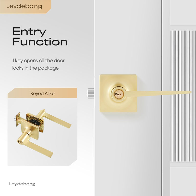 Leydebong 2 Pack Keyed Entry Lever Lock, Square Sleek Door Handle with Keys Gold Entry Lever for Office & Exterior Door Keyed Alike Door Handle Satin Brass