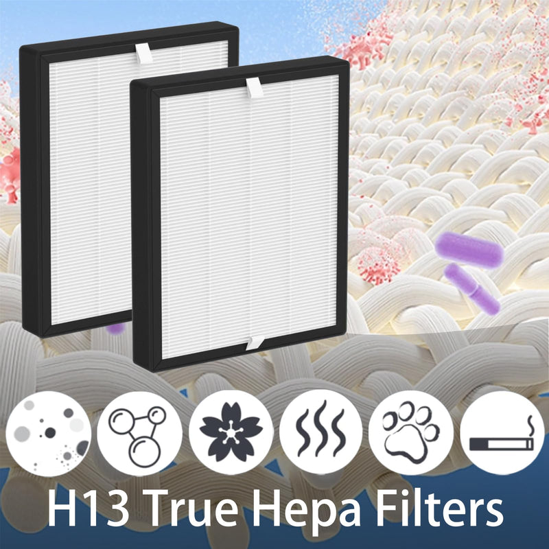 2 Pack BS-10 Replacement Filter for PARTU BS-10 Air Purifier