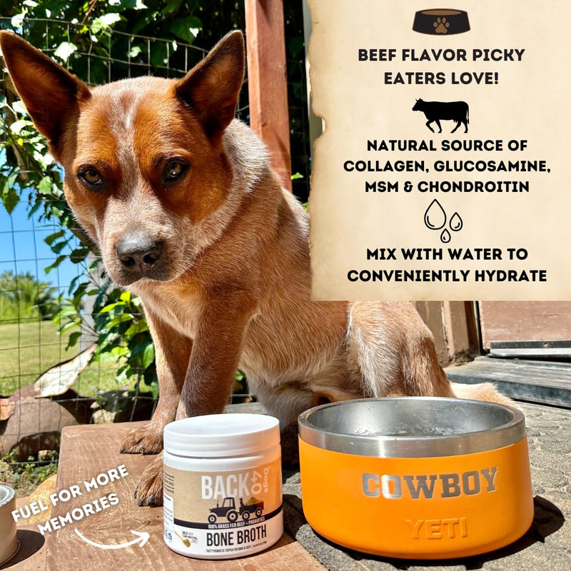 Back40Dog Fish Oil & Bone Broth Bundle – Wild Alaskan Salmon & Pollock Oil 16 fl oz & Grass-Fed Beef Bone Broth Powder 6.4 oz – Skin, Coat, Joint & Digestive Support
