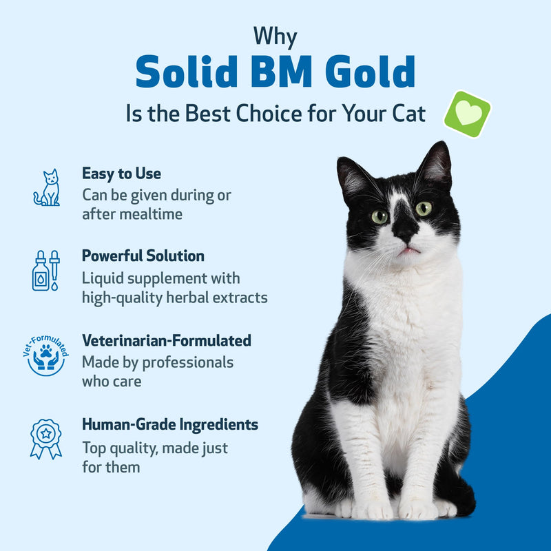 Pet Wellbeing Solid BM Gold for Cats - Supports Healthy Digestive Function, Solid Stools, Bayberry, Oregon Grape - Veterinarian-Formulated Herbal Supplement 4 oz (118 ml) (4 fl oz (118 ml)) 4 fl oz (118 ml)