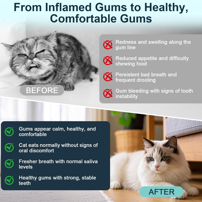 Oral Health for Cats, Cat Gingivitis Treatment, Reduce Gum Inflammation, Redness & Pain, Combats Gum Disease, Natural Plant-Based Active Formula, Cat Oral Care, Gums Health Treatment, 60ml