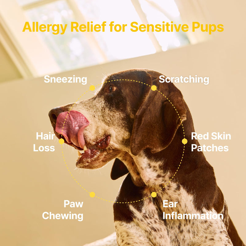 PENPEN Dog Allergy Chews - Anti-Itch & Itchy Skin Support for Dogs, Probiotics & Omega 3 (Fish Oil) for Immune & Gut Health - Peanut Butter Flavor - 180 Soft Chews 180 Chews