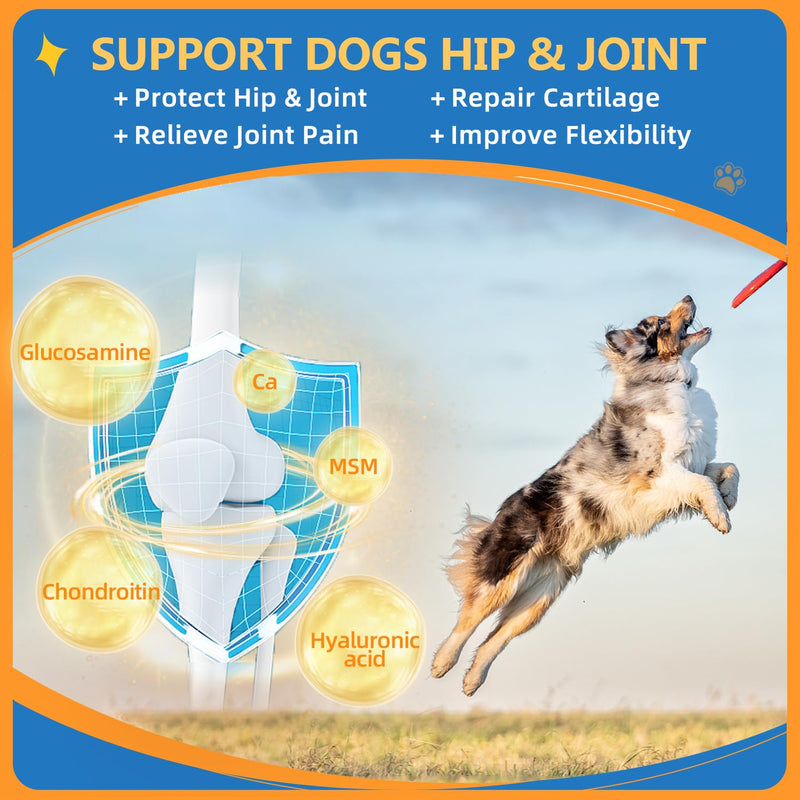 Dog Multivitamin Powder & Dog Dental Powder, Chicken Flavor