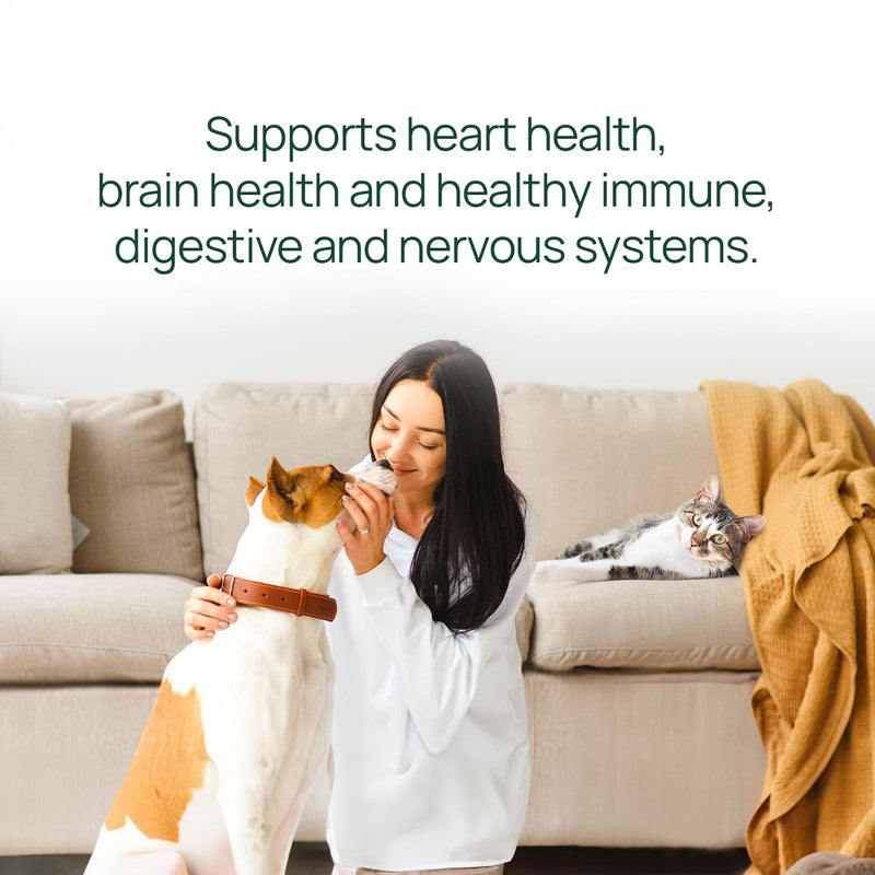 pawTree Salmon Oil-Dog and Cat Fish Oil Supplement-Ideal for excessive shedding control, seasonal allergies, itch relief, dry, irritated skin. With over 15 heart-healthy Omega-3 & Omega-6 Fatty Acids. 15 fl Oz - PawsPlanet Australia